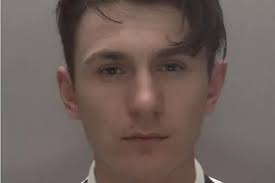 Named and shamed: 217 of the criminals dealt with by our courts in 2020 so  far