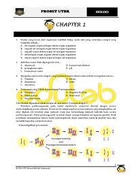 Aduncus) pada awalnya dikenal dengan nama delphinus aduncus. 4 Soal Asli Biologi Utbk 2019 Update Pdf