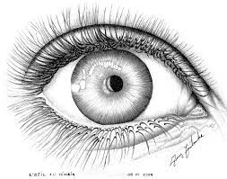 on doit bien y voir avec un oeil comme celui la dessin au crayon yeux coloriage de chiot kawaii