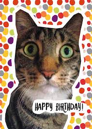Standing and sitting on white background. Happy Birthday Cat Art By Linda Woods Greeting Card For Sale By Linda Woods