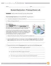 Gizmo Photosynthesis Lab Photosynthesis Lab Photosynthesis Gizmo