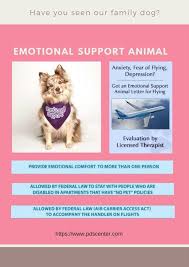 What Emotionalsupportanimals Do Exactly Emotional Support Animal Emotional Support Support Animal