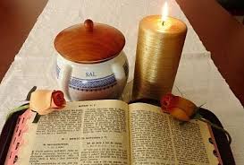 Resultado de imagem para imagens de  sal da terra