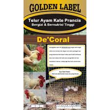 Ayam kate merupakan salah satu jenis ayam ayam hias yang sudah sangat populer di kalangan masyarakat indonesia. Telur Ayam Kate Prancis Bergizi Dan Bernutrisi Tinggi Shopee Indonesia