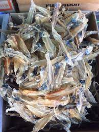ลูกค้าจำนวนมากแห่ซื้อ ปลาลิ้นหมา หน้าตาประหลาด ปลาประจำถิ่นของชัยนาท พบมากในแม่น้ำเจ้าพระยา แม่ค้าเผย ปลาชนิดนี้มีขายเฉพาะหน้าหนาว ราคา. Facebook