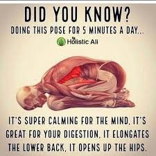 Child S Pose Calm And Open Up Your Body Yoga Benefits Easy Yoga Workouts Types Of Yoga