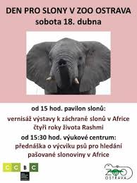 Z již otevřených návštěvníky nejvíce láká pavilón slonů k nejnovějším projektům zoo ostrava se řadí například nový vstupní blok a restaurace s vodním. Den Pro Slony V Zoo Ostrava