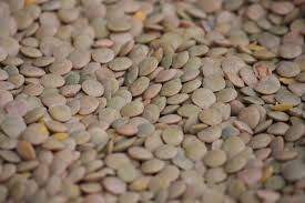 Elle permet désormais l'utilisation de tous les prénoms dont l'usage est consacré. Les Lentilles Nature Gastronomique Et Medicinale