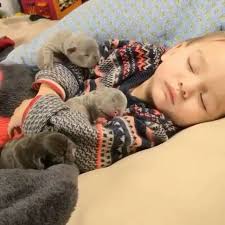 Pin By Kedi Kopek Mama Online Satis K On Kopek Puppy Snuggles Puppy Cuddles Tiny Puppies