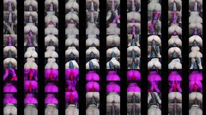 Lilijunex Draining Horse Cocks - XNXX.COM