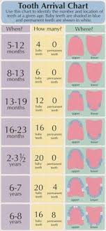 49 Best Baby Development Milestones Images In 2019 Baby