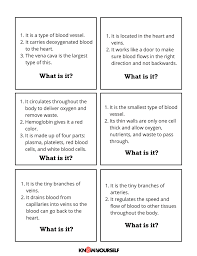 Image result for Cardiovascular Worksheets