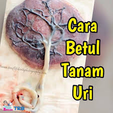 Видео tanam uri je lah канала bumi ratu channel. Facebook