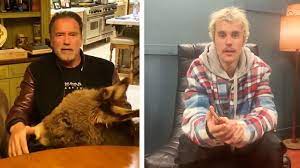 Their zodiac sign is ♈ aries. From Boris Johnson To Sir Kenny Dalglish Coronavirus Hits Celebrities Royals And Politicians
