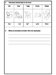 Worksheet Of Animal Kingdom Animals And Their Habitats Animals Science In 2020 Science Worksheets Animal Worksheets Worksheets For Class 1