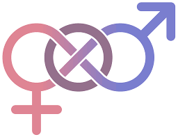 Gender is the social elaboration of biological sex. Taxing Men And Women Why Gender Is Crucial For A Fair Tax System Global Alliance For Tax Justice