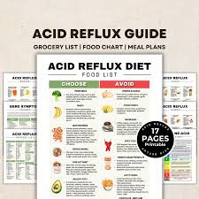 胃酸逆流症の食料品リスト、胃食道逆流症の食事、腸の健康のための低酸性食品リスト、胃がん、胃炎、胸焼け、胃食道逆流症の症状トラッカー - Etsy 日本