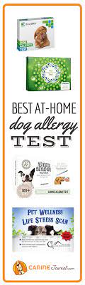 Pin On Dog Health Tips
