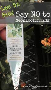Why I M Not Buying Plants From Home Depot Or Lowes Buy Plants Survival Gardening Plants