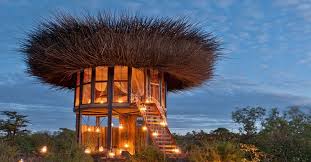 Dormir Sous Le Nid D Un Oiseau Au Kenya Maison Dans Les Arbres Maison Oiseaux Kenya