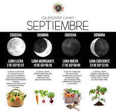 El año 2021 tiene 12 lunas llenas y 12 lunas nuevas. Septiembre 2020 Siembra Y Lunas Chile Huerta