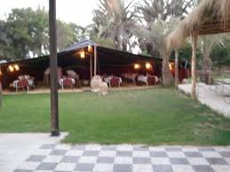Check spelling or type a new query. Restaurant Chez Max Ou Il Y A La Tente Pour Manger Le Couscous Tunisien Bild Von Seabel Aladin Djerba Aghir Tripadvisor