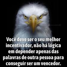 PAZeEQUILÍBRIO - Acredite no seu POTENCIAL! 🌻 Avante... | Facebook