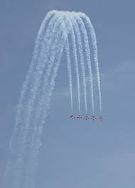 Check spelling or type a new query. Snowbirds Wikipedia