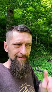 The cicada are singing their song