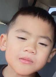 missing boy near pine hollow