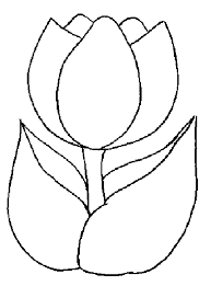Free Printable Tulip Coloring Pages For Kids In 2020 Flower Coloring Pages Coloring Pages To Print Coloring Pages For Kids