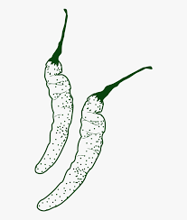 Chili Drawing Chilli Plant Transparent Cartoons Free Transparent Clipart Clipartkey Well, if the temperature is high, the plants may wilt during the day. chili drawing chilli plant
