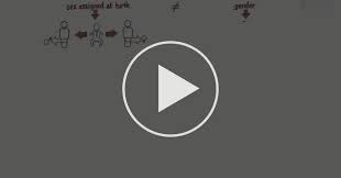 What Is The Difference Between Sex Assigned At Birth And Gender Identity What Is Gender Identity Coursera