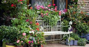 Foglia artificiale e bouquet di fiori sulla superficie bianca. 5 Piante Da Balcone O Terrazzo Resistenti Al Caldo Cifo