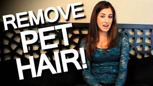Another option is to put on. 3 Ways To Remove Pet Hair Wikihow