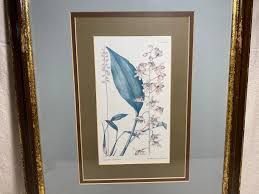 Image result for Oeceoclades saundersiana