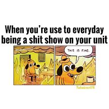 Nurse Humor Nursing Funny Meme Fabulousrn1 Fabulousrn This Is Fine Meme Memes Vegan Memes