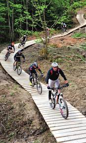 Der Ultra Bike Blickt Verjungt In Die Zukunft Pdf Free Download