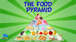 Why do we bury all that food? The Food Pyramid Educational Video For Kids Youtube