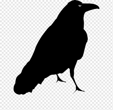 Check spelling or type a new query. Menggambar Burung Hitam Umum Burung Hewan Monokrom Fauna Png Pngwing
