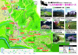 五ヶ瀬自然学校 2822 Foto College Pubblico
