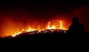 Veja a área ardida do incêndio de monchique 4405 área ardida em monchique já ronda os 19 mil hectares | incêndios educación forestal on twitter: Conferencia Sobre Incendio De Monchique Marcada Para As 12h30