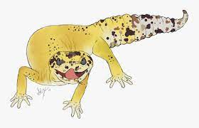 Common leopard gecko lizard east indian leopard gecko, lizard png. Loki The Leopard Gecko Leopard Gecko Cartoon Hd Png Download Transparent Png Image Pngitem