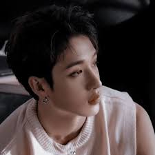 Stray Kids Bangchan on Tumblr