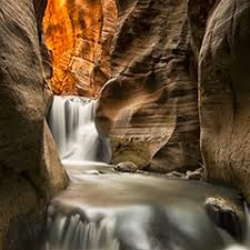 白熊云盘--骗子云，跑路盘！→小鱼儿yr系统