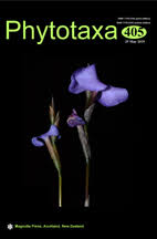 Image result for Thesium goetzeanum