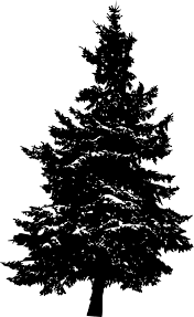 10 Pine Tree Silhouette Png Transparent Vol 3 Onlygfx Com Pine Tree Silhouette Tree Silhouette Silhouette Png