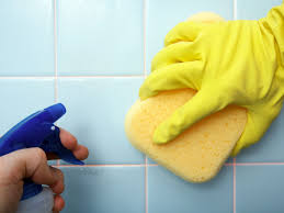 Check spelling or type a new query. How To Get Rid Of Pink Mold