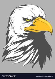 Bald Eagle Head Cartoon Vector Image On Vectorstock Eagle Vector Bald Eagle Eagle Head Over 42,889 eagle pictures to choose from, with no signup needed. pinterest
