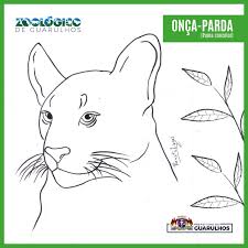 We did not find results for: Zoologico Disponibiliza No Instagram Desenhos De Animais Para Imprimir E Colorir Click Guarulhos